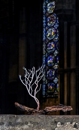 Heather and bark vessel. Painted heather, bark (photo Stuart Brock)