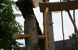 Peg detail